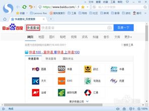 如何高效查询国际快递物流信息 方法与实用建议